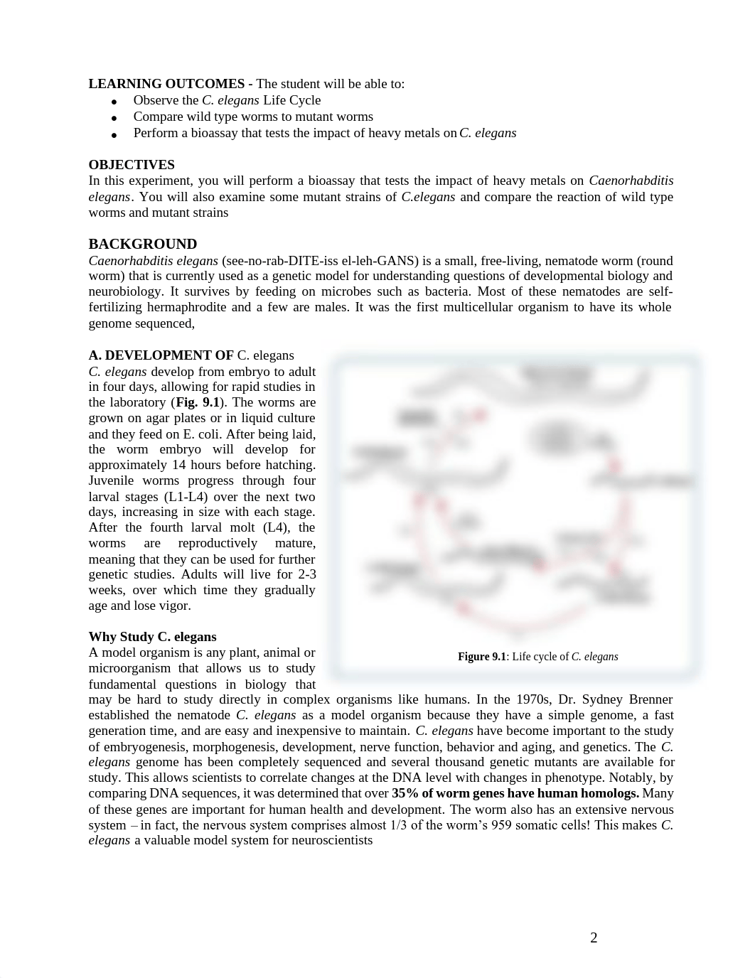 MODULE 9 - Toxicity (1).pdf_dcysws0kisw_page2