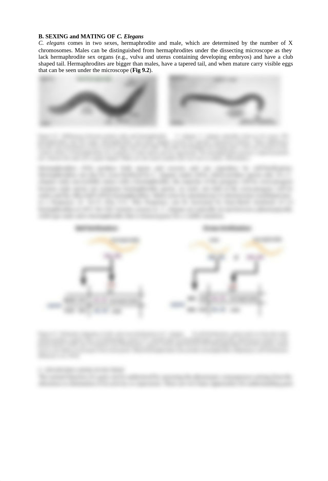 MODULE 9 - Toxicity (1).pdf_dcysws0kisw_page3