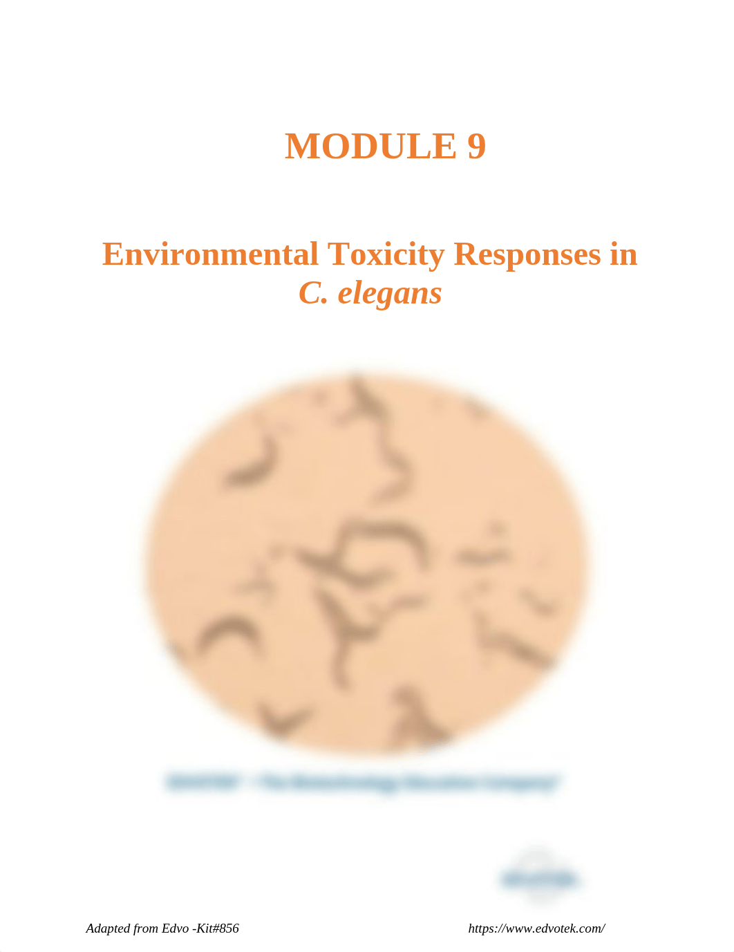 MODULE 9 - Toxicity (1).pdf_dcysws0kisw_page1