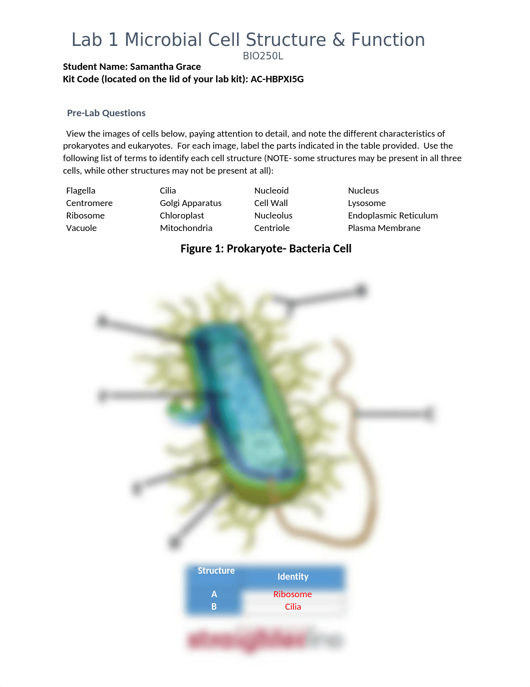 Lab 1 -Microbial Cell Structure and Function .docx_dcyuszqii8m_page1