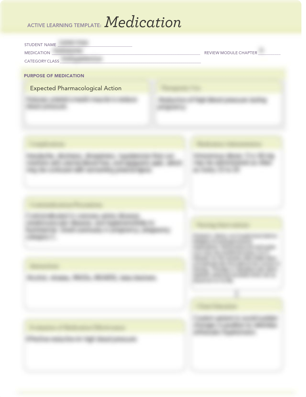 Drug template_Hydralazine.pdf_dcz14rl63j1_page1