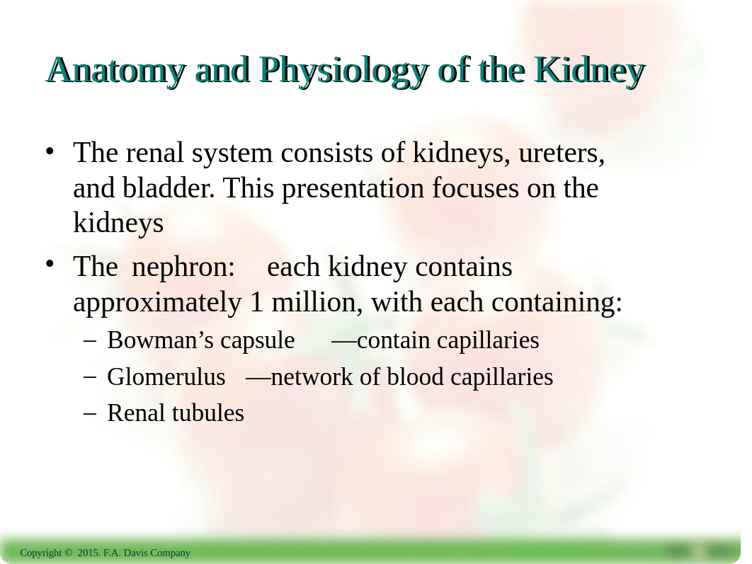 Ch19-Renal Function_dcz7tlucps4_page2