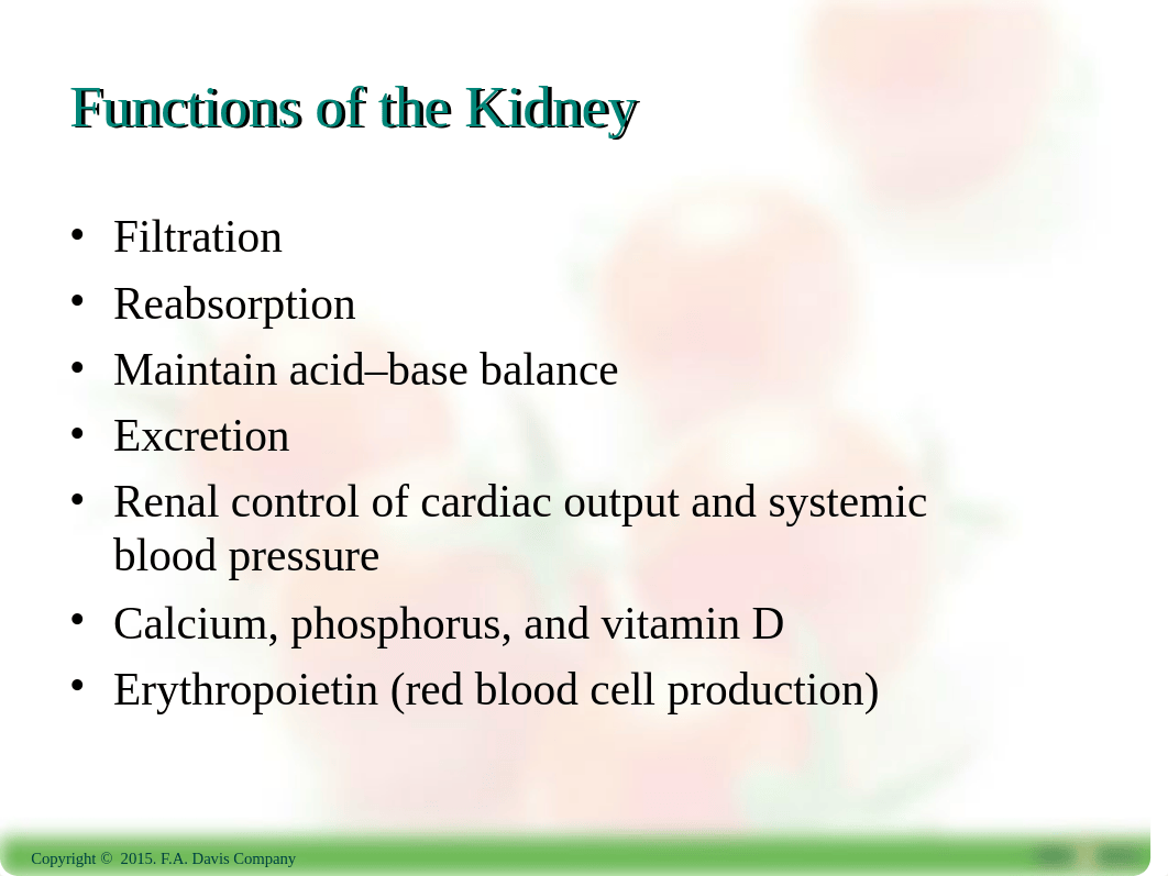 Ch19-Renal Function_dcz7tlucps4_page3