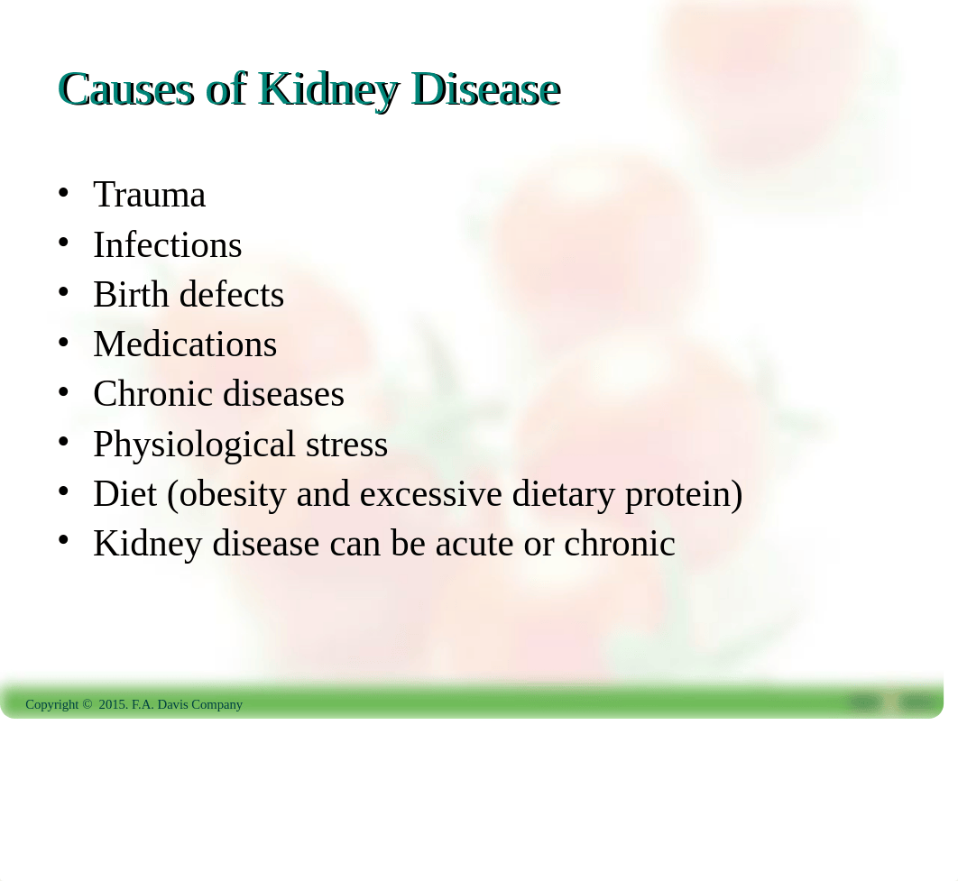 Ch19-Renal Function_dcz7tlucps4_page4