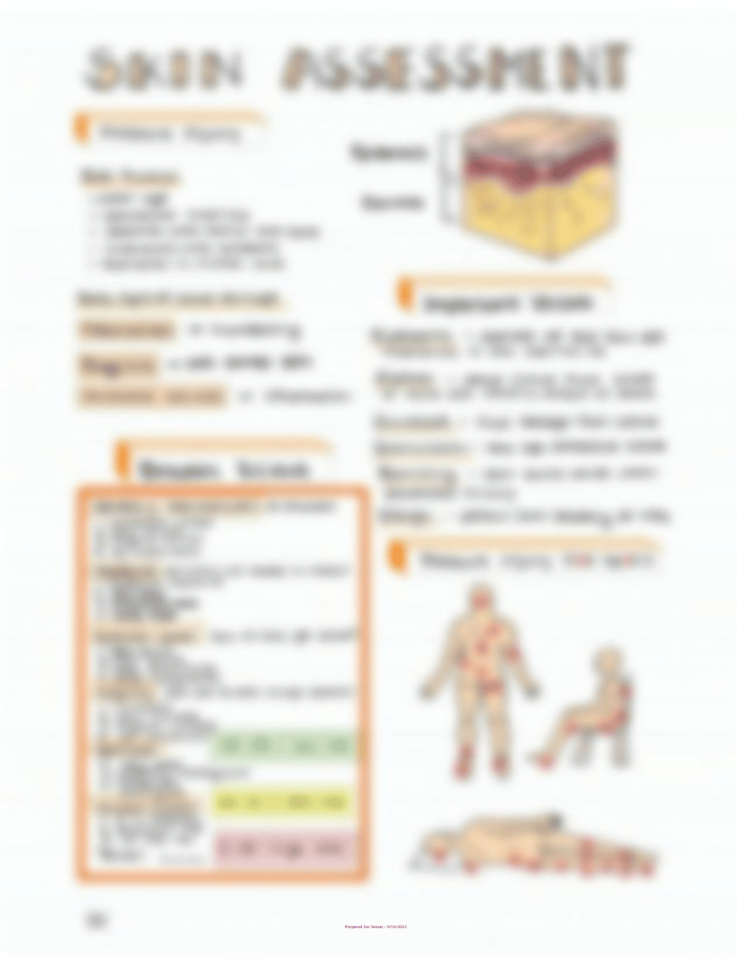 Assessment-Bundle-Nursing-Notes-to-pass-NCLEX-RN-or-LPN-p.pdf_dcze52gpww7_page2