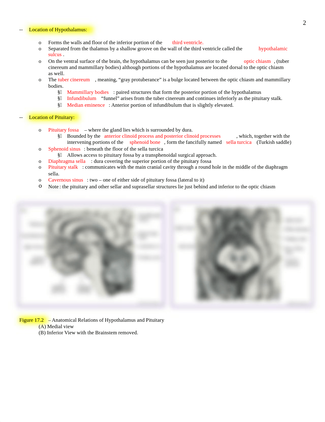 Neuro - 17 - Pituitary + Hypothalamus - BL_dd0246w784q_page2