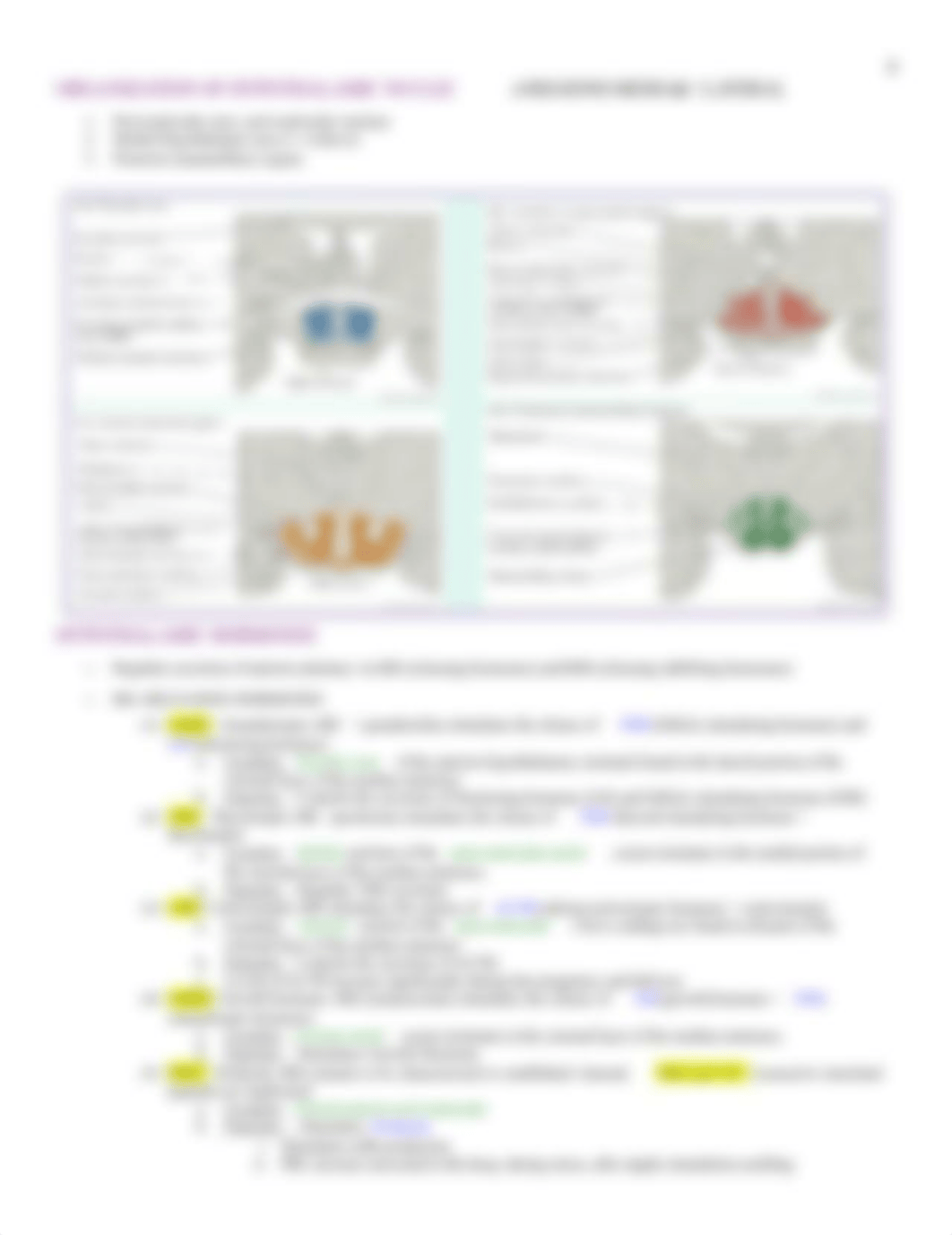 Neuro - 17 - Pituitary + Hypothalamus - BL_dd0246w784q_page4