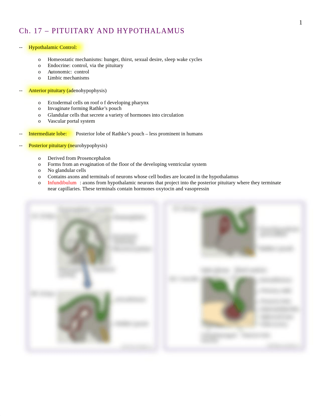 Neuro - 17 - Pituitary + Hypothalamus - BL_dd0246w784q_page1