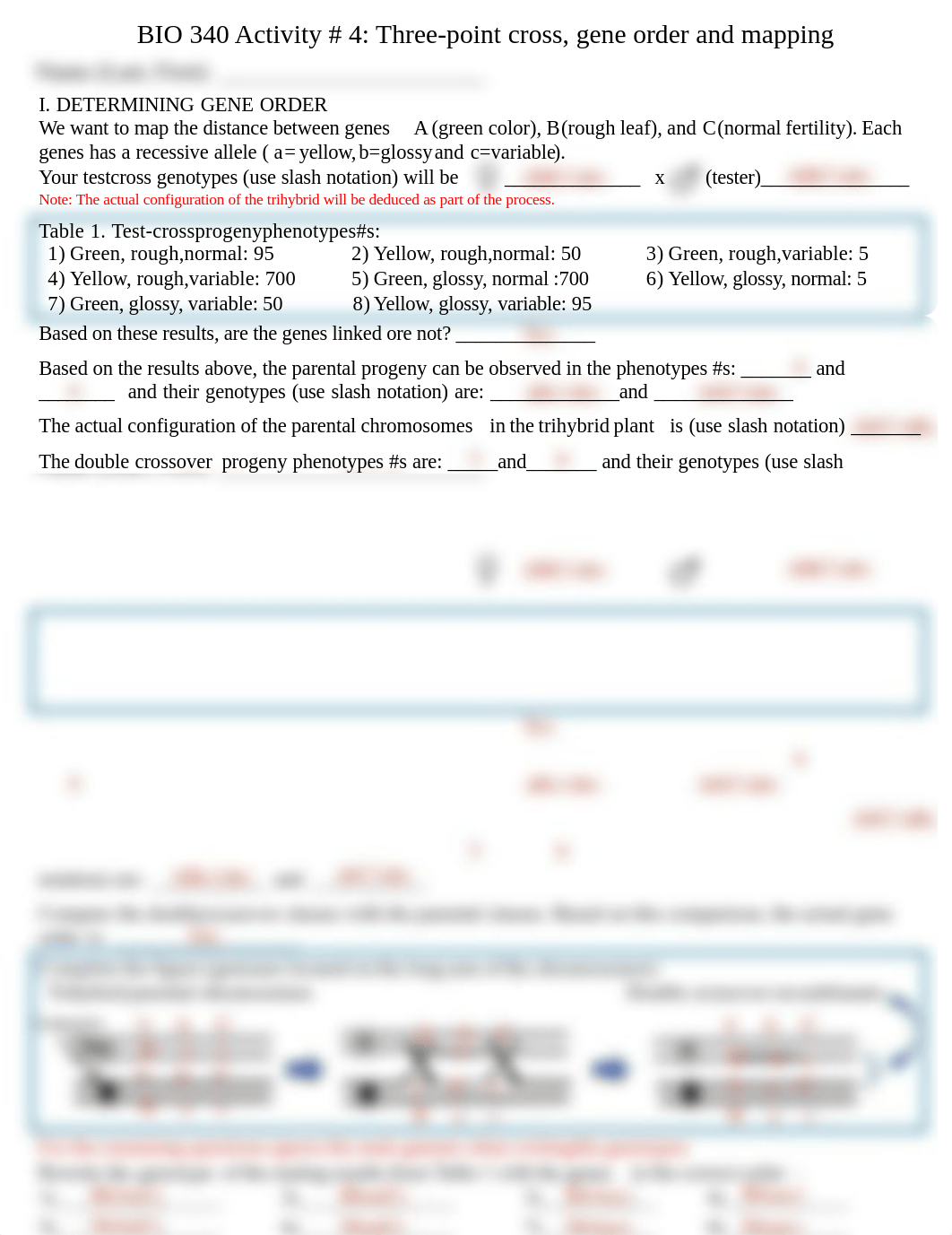 BIO 340 Activity # 4 2019 Tiffany Bounphanh.pdf_dd0alv6hmbt_page1