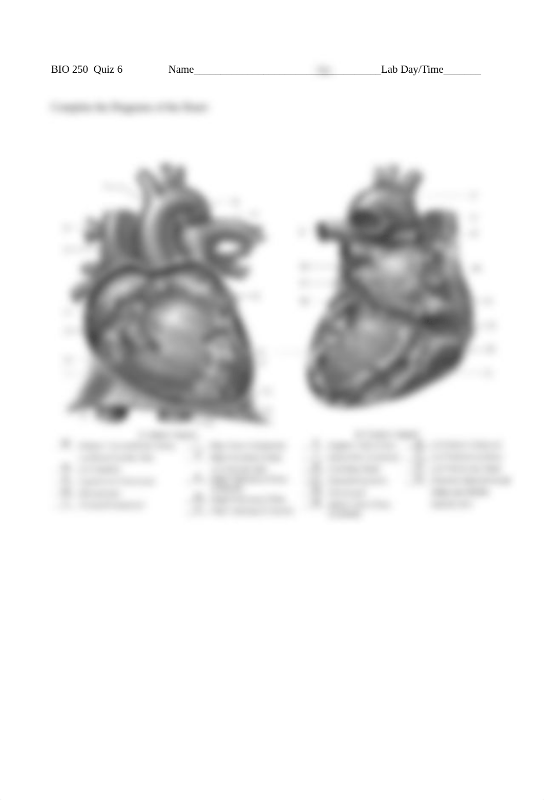 Heart Diagram Quiz Key.pdf_dd0cpkc308b_page1