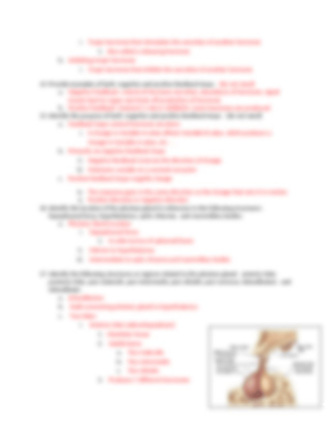 Anatomy Ch 17.docx_dd0e54bl9gh_page4