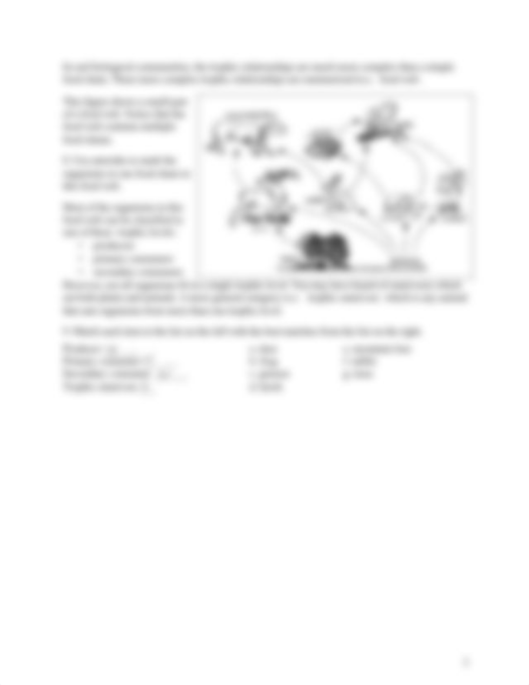 2024 Tyler Rantz - Food Webs and Biomass.pdf_dd0f2etup2w_page3