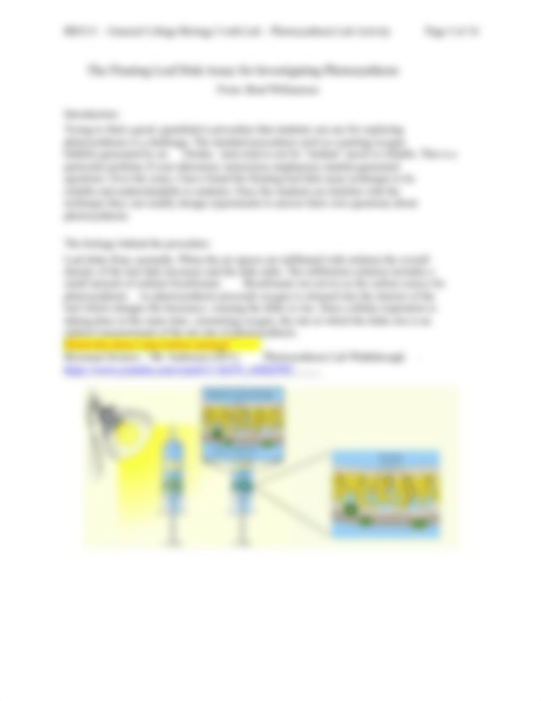 BIO111-Lab-8-Photosynthesis+(1).docx_dd0fg21r817_page3