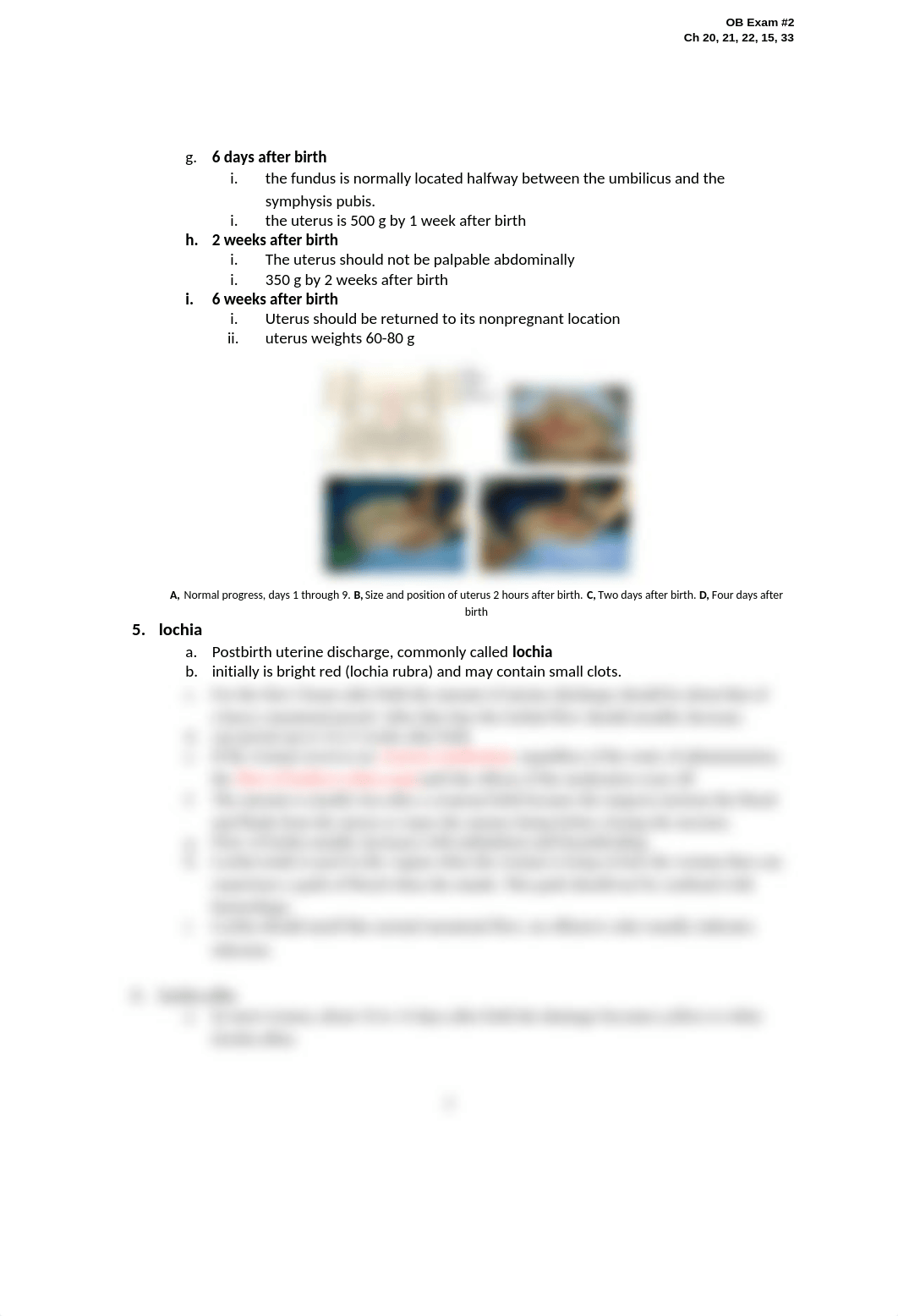 OB Exam 2/3_dd0g1j6m70e_page2