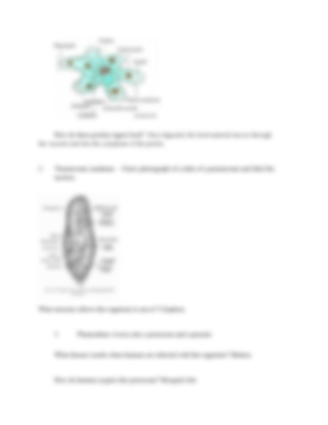 Lab 4 Worksheet.pdf_dd0hpah4x8f_page3