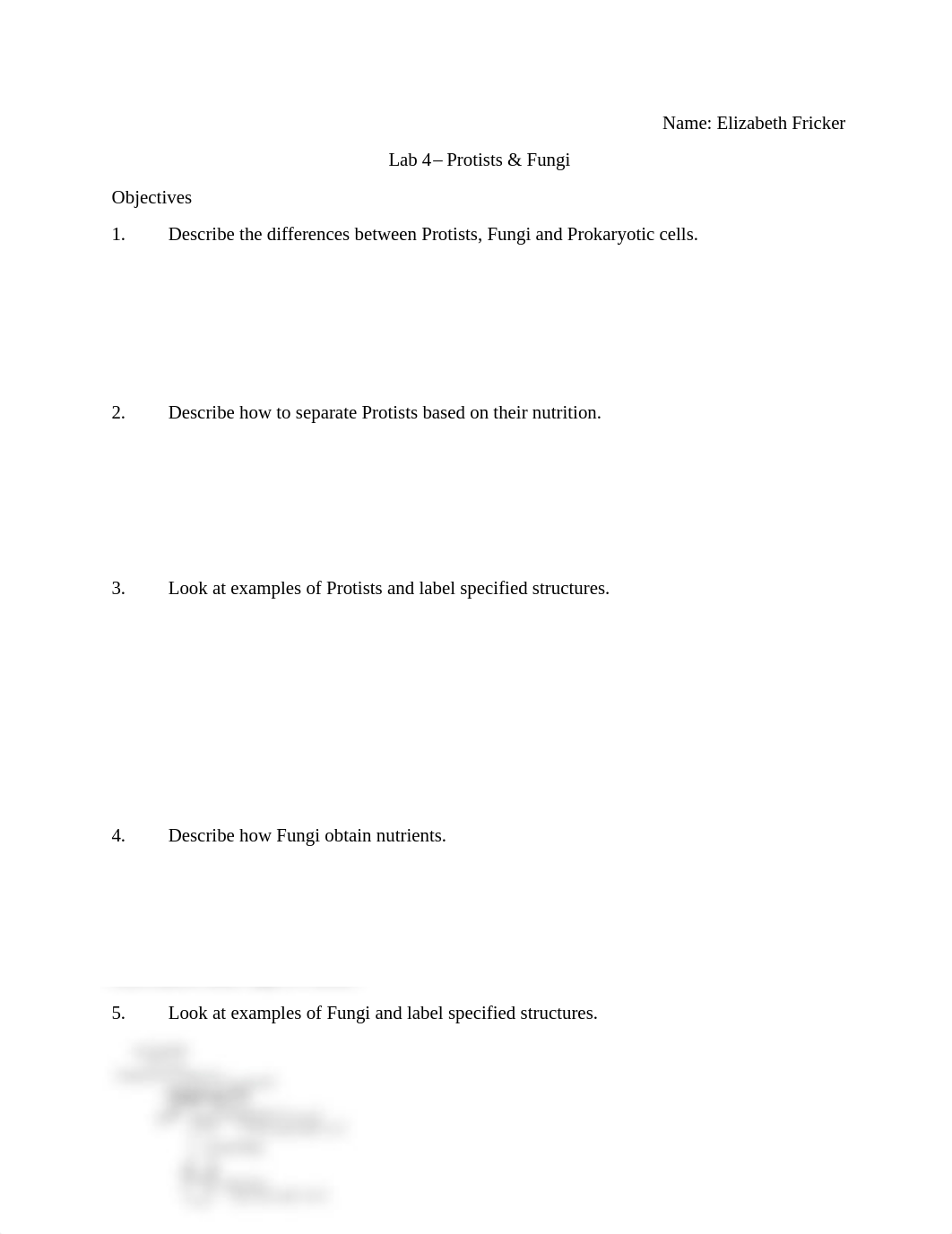 Lab 4 Worksheet.pdf_dd0hpah4x8f_page1