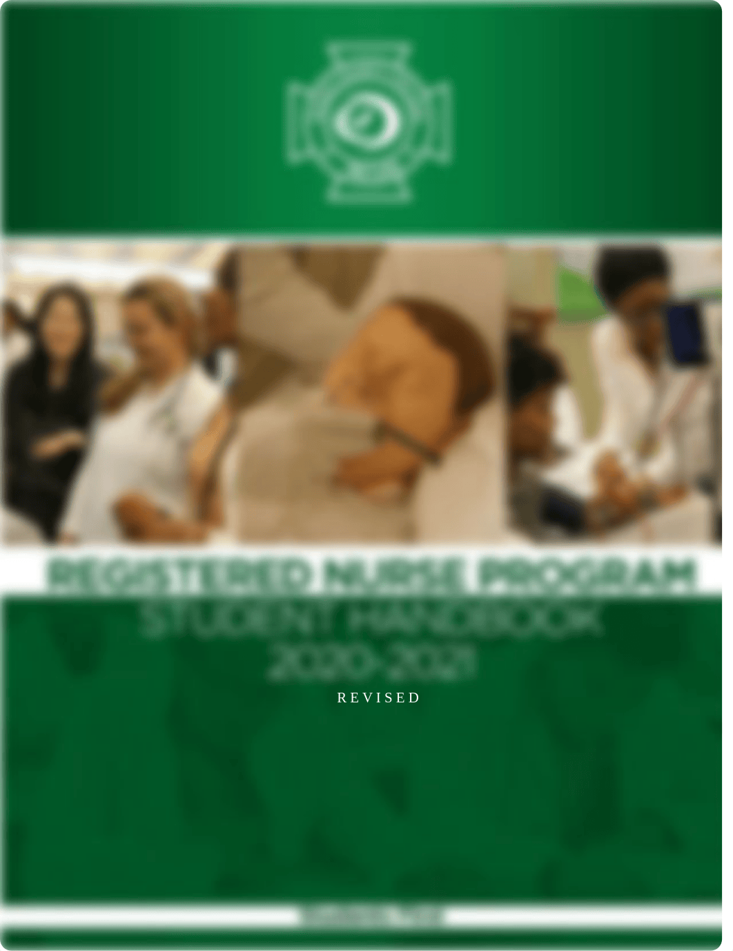 RN-Fall-2020-2021revised-nursing-handbook-1.pdf_dd0jdiz7t1z_page1