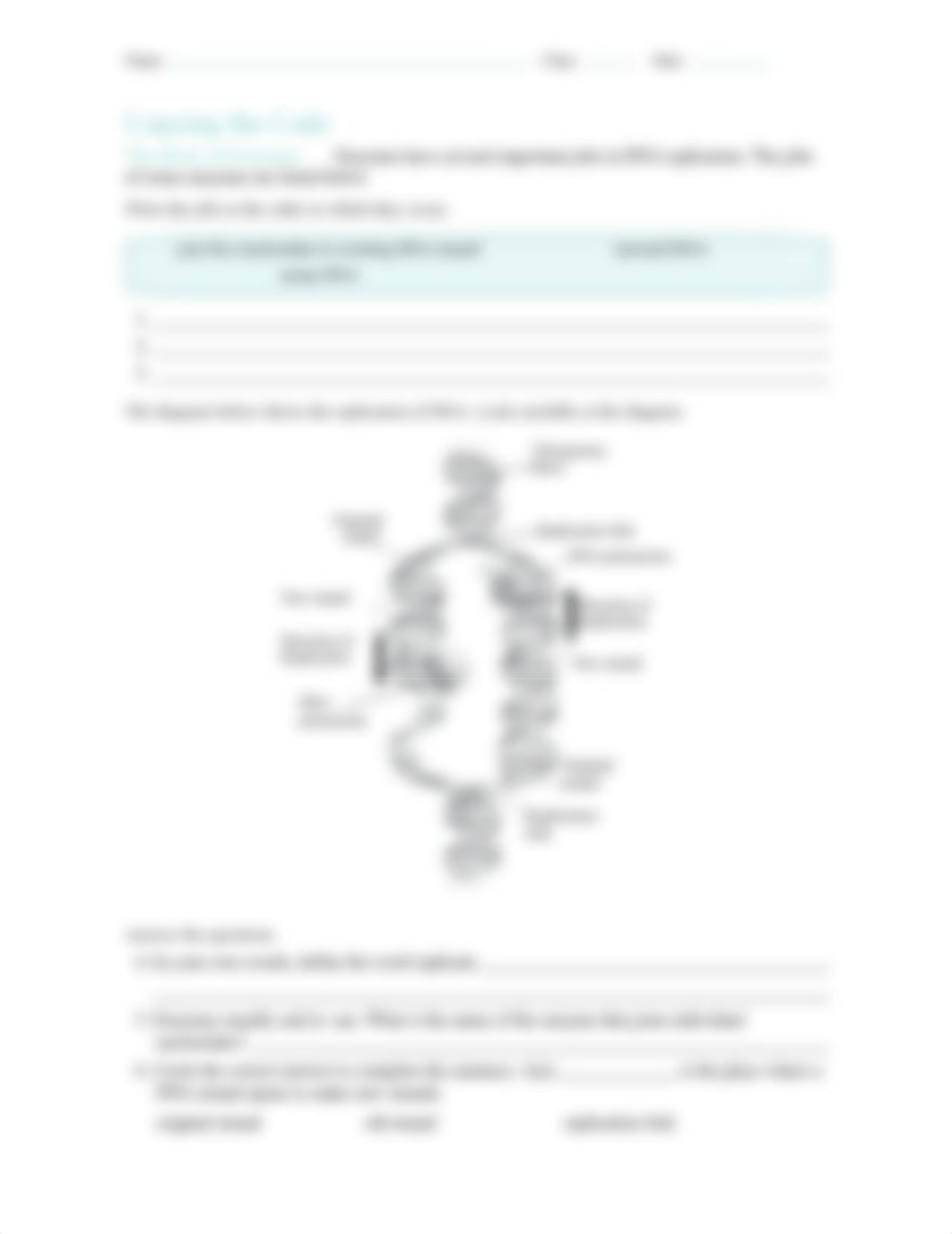 D0796796_BIO_C12_L03_Lesson_Review_Workbook_B-1.doc_dd0lpb8b6fw_page2