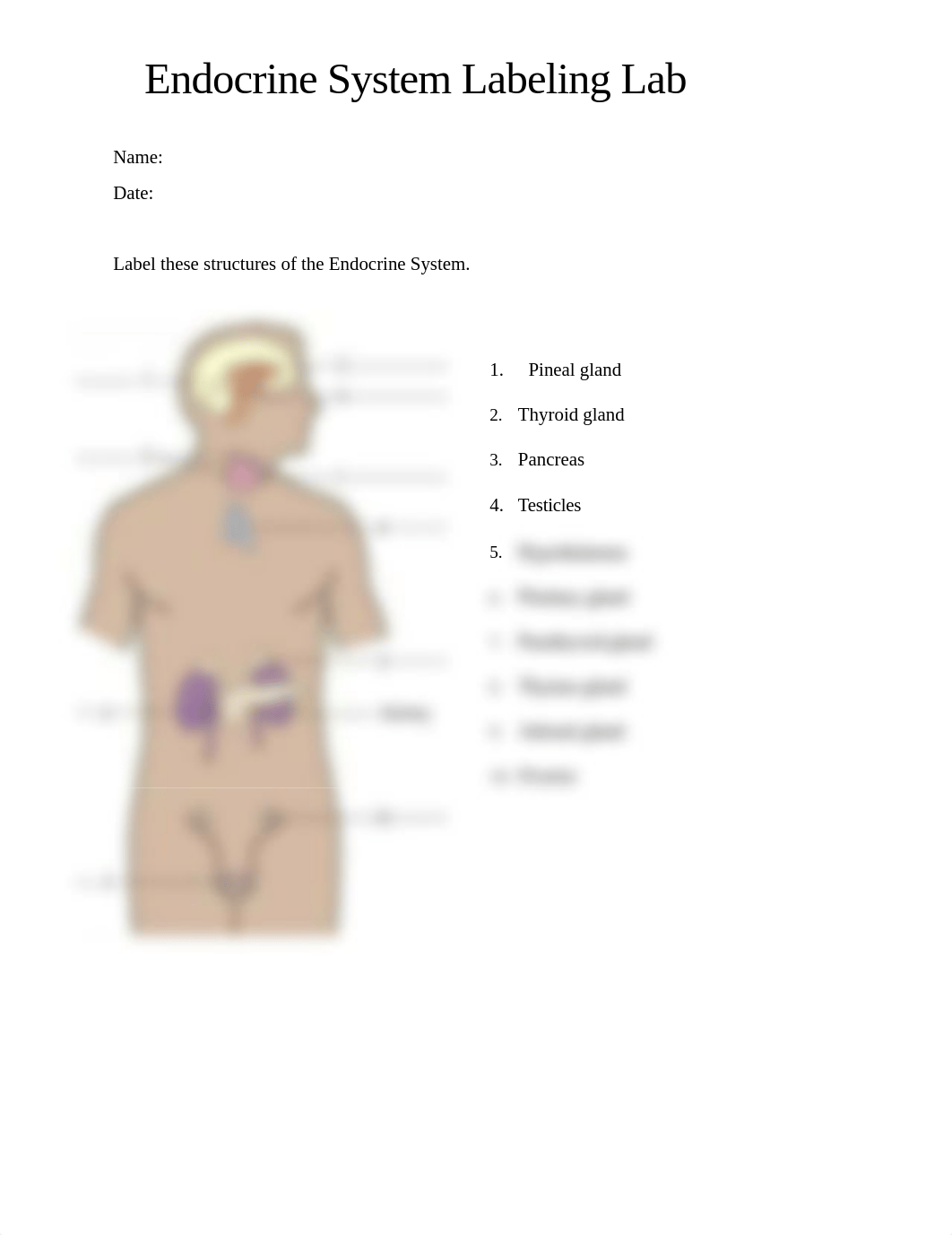 Lab_EndocrineSystemLabeling_20171109_AH101.docx_dd0zunyjnt7_page1