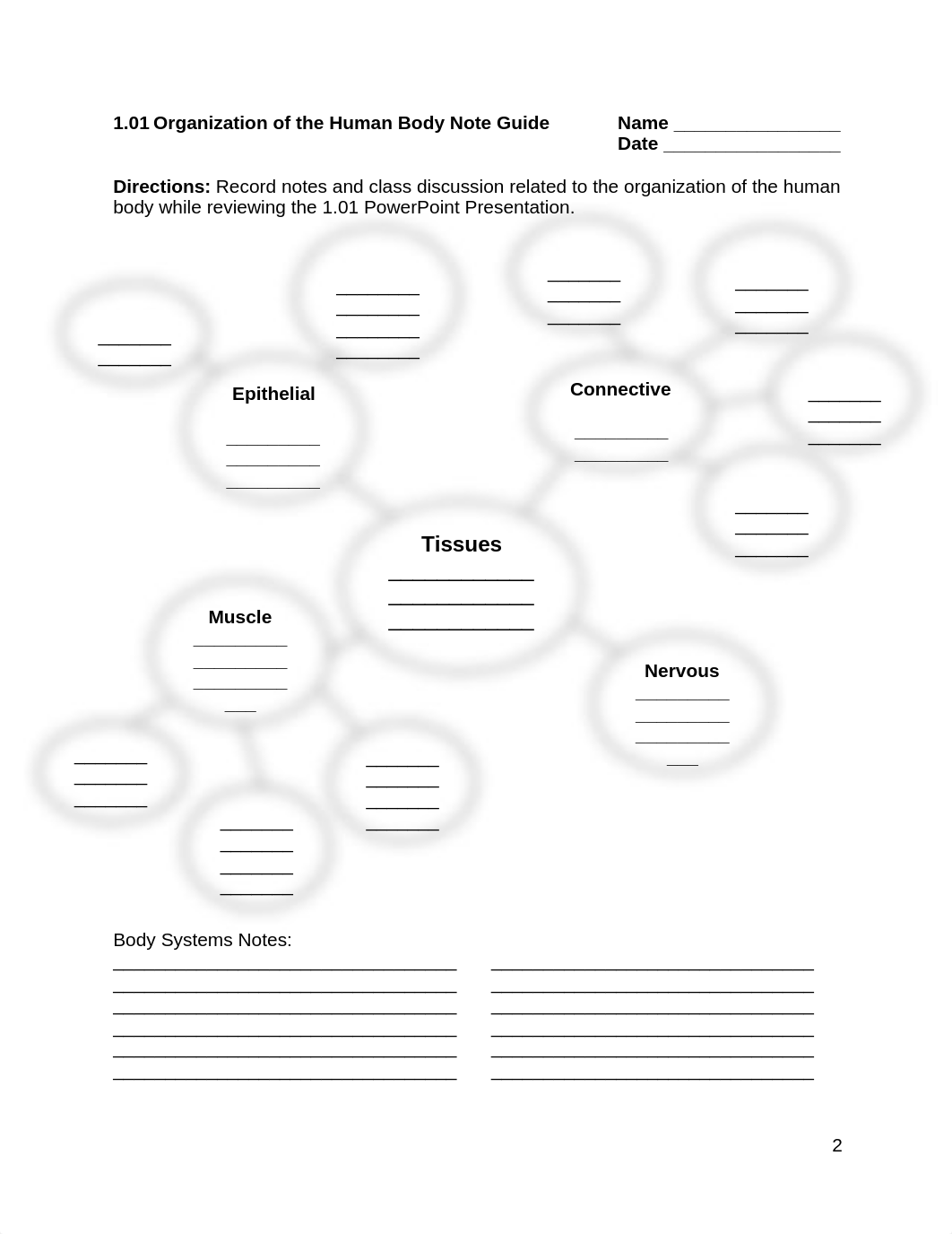 Body Tissues Student Packet (condensed).docx_dd10fkkjzqa_page2