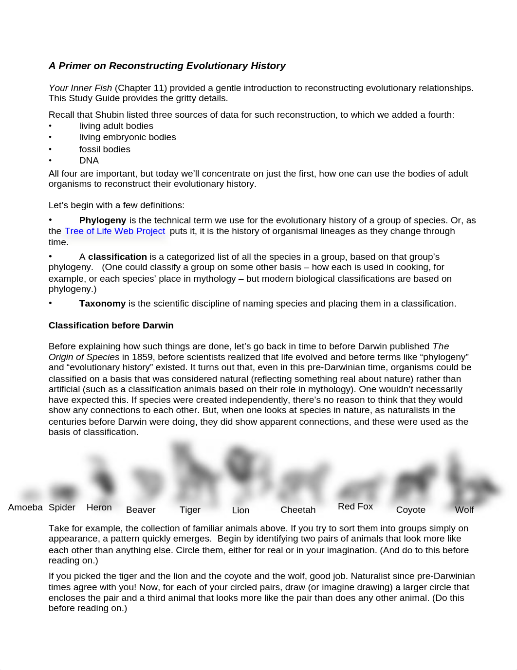 A Primer on Reconstructing Phylogeny_dd14a80q863_page1