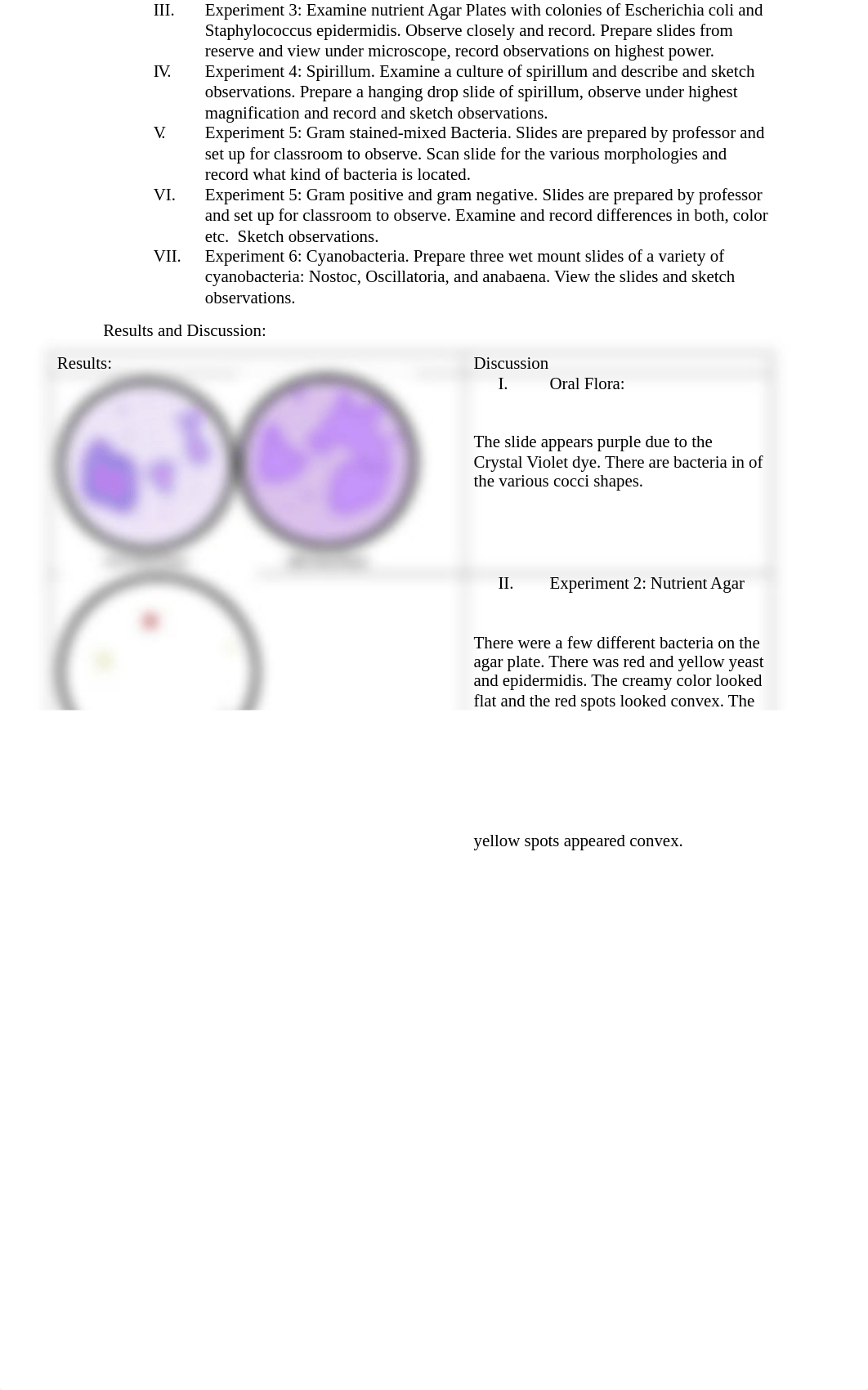 Lab Report #2.docx_dd1a28aurvq_page2