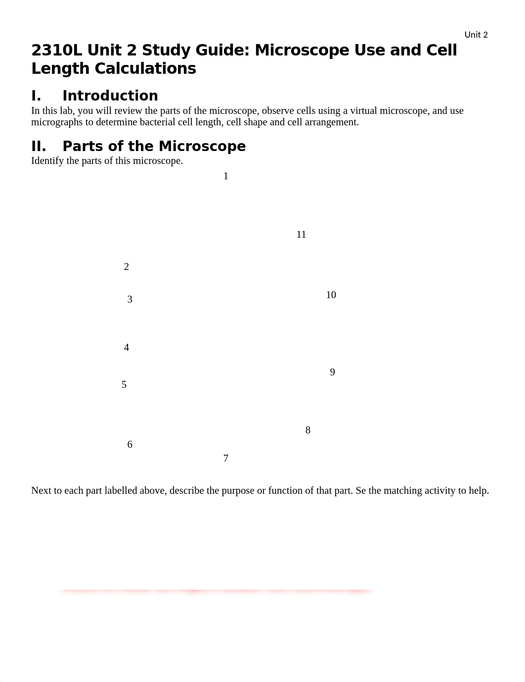 Unit 2 Study Guide 2-17-21.docx_dd1anbvb6im_page1