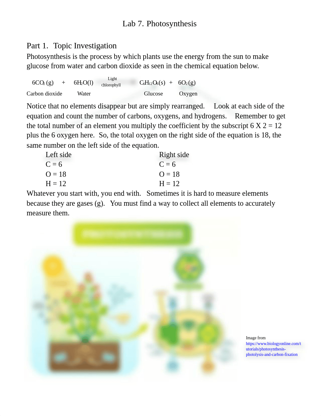 Lab 7 Photosynthesis.docx_dd1hhl86nw6_page1