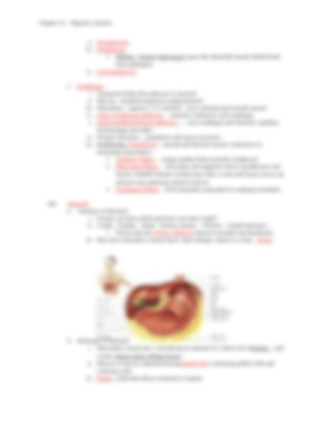 Chapter 22 - Digestive System.docx_dd1x8mxhe0t_page3