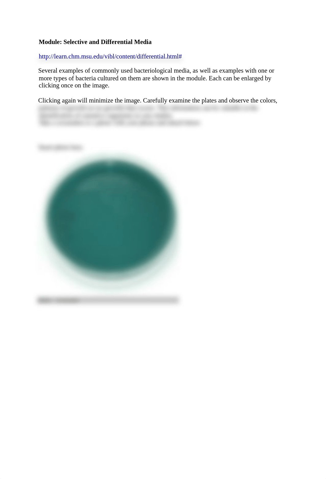 Bacterial differential.docx_dd1xb6zfvnl_page1