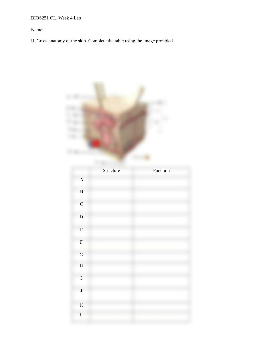 Week 4 Integumentary system lab.docx_dd216iy6jmp_page2