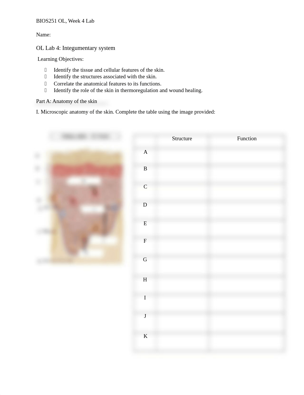 Week 4 Integumentary system lab.docx_dd216iy6jmp_page1