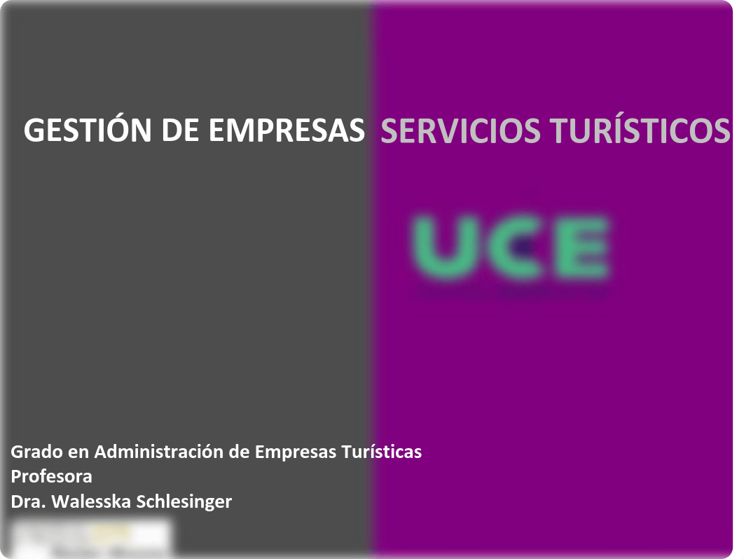 Tema 1 Factores que intervienen en el turismo.pdf_dd2d62jc0s3_page1