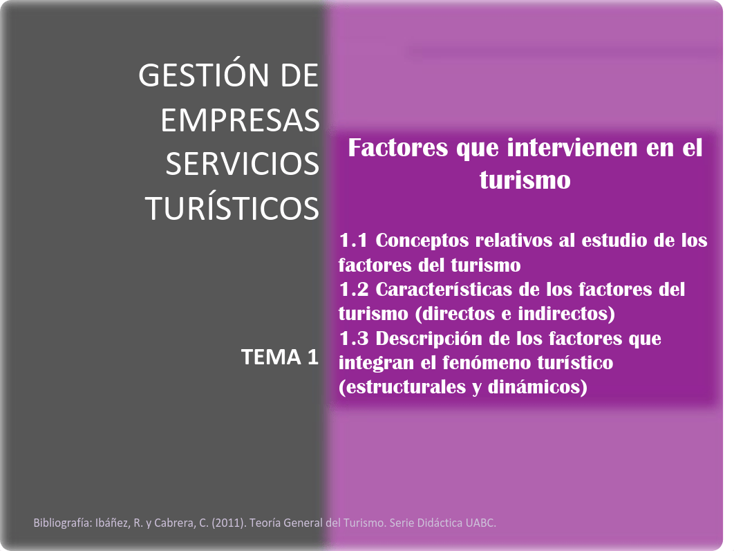 Tema 1 Factores que intervienen en el turismo.pdf_dd2d62jc0s3_page2