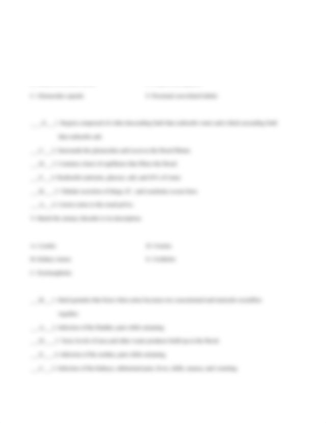 Urinary System Worksheet (1).pdf_dd2fchz6kjo_page3