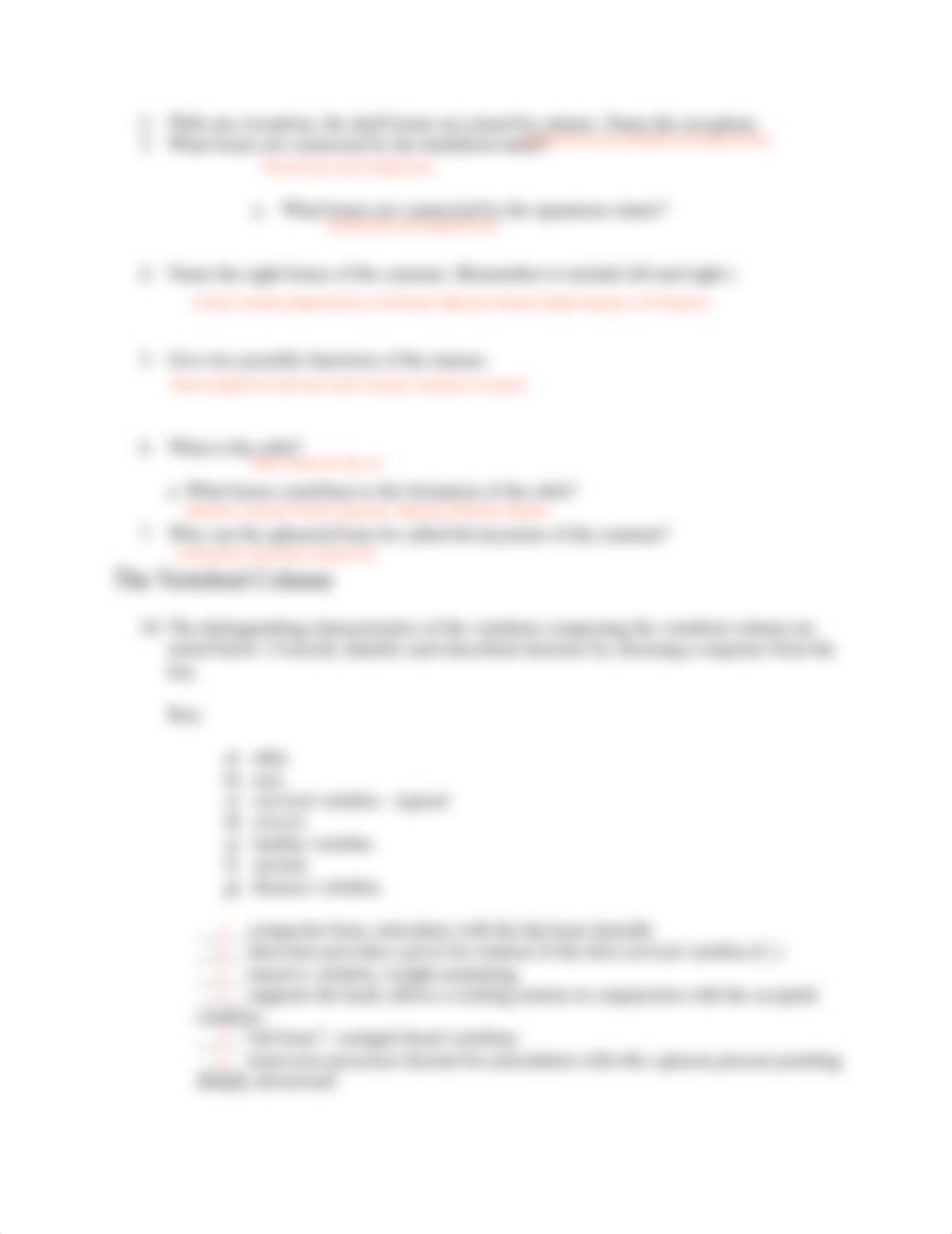 Lab Exercise #9.pdf_dd2jdchjqw7_page4