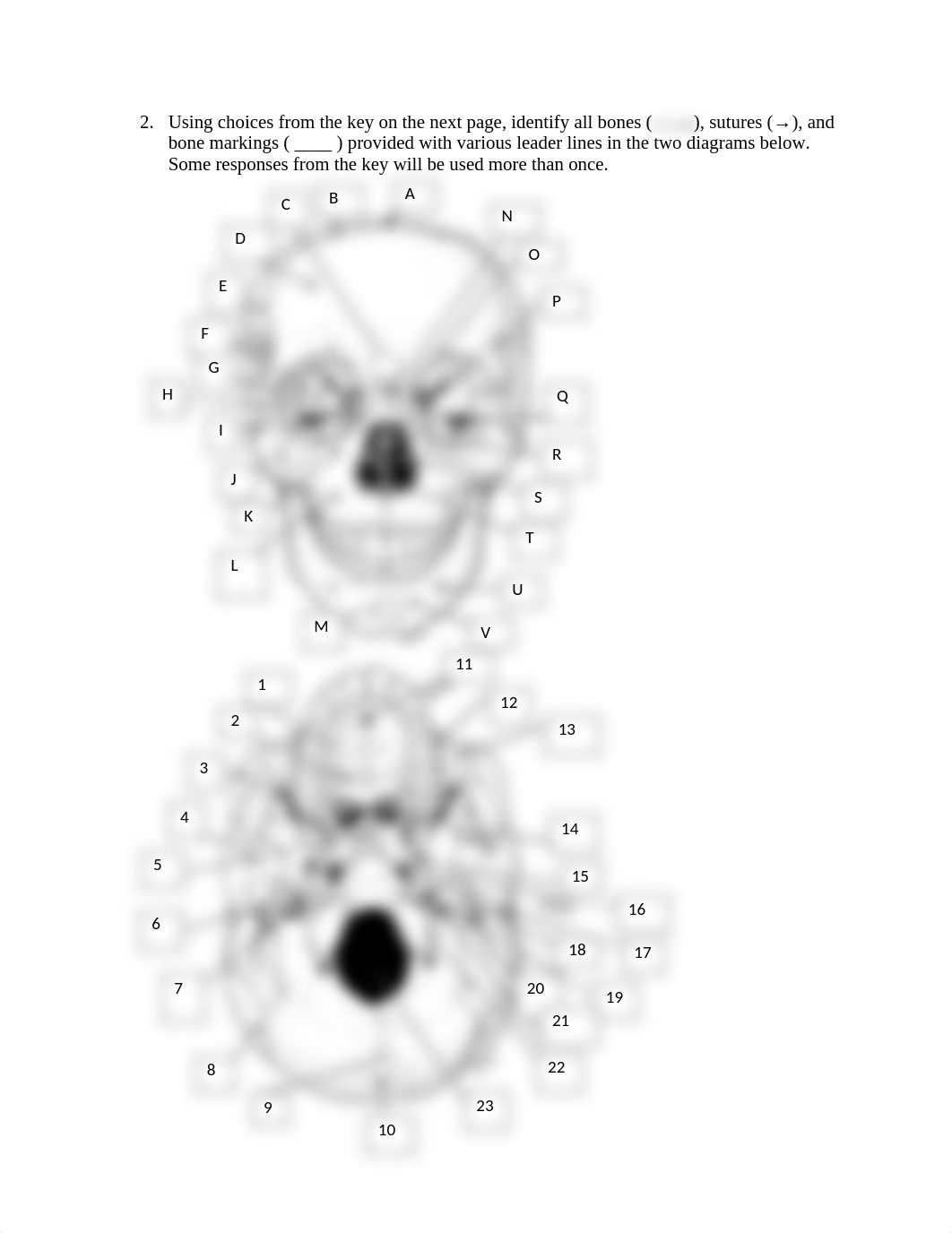 Lab Exercise #9.pdf_dd2jdchjqw7_page2