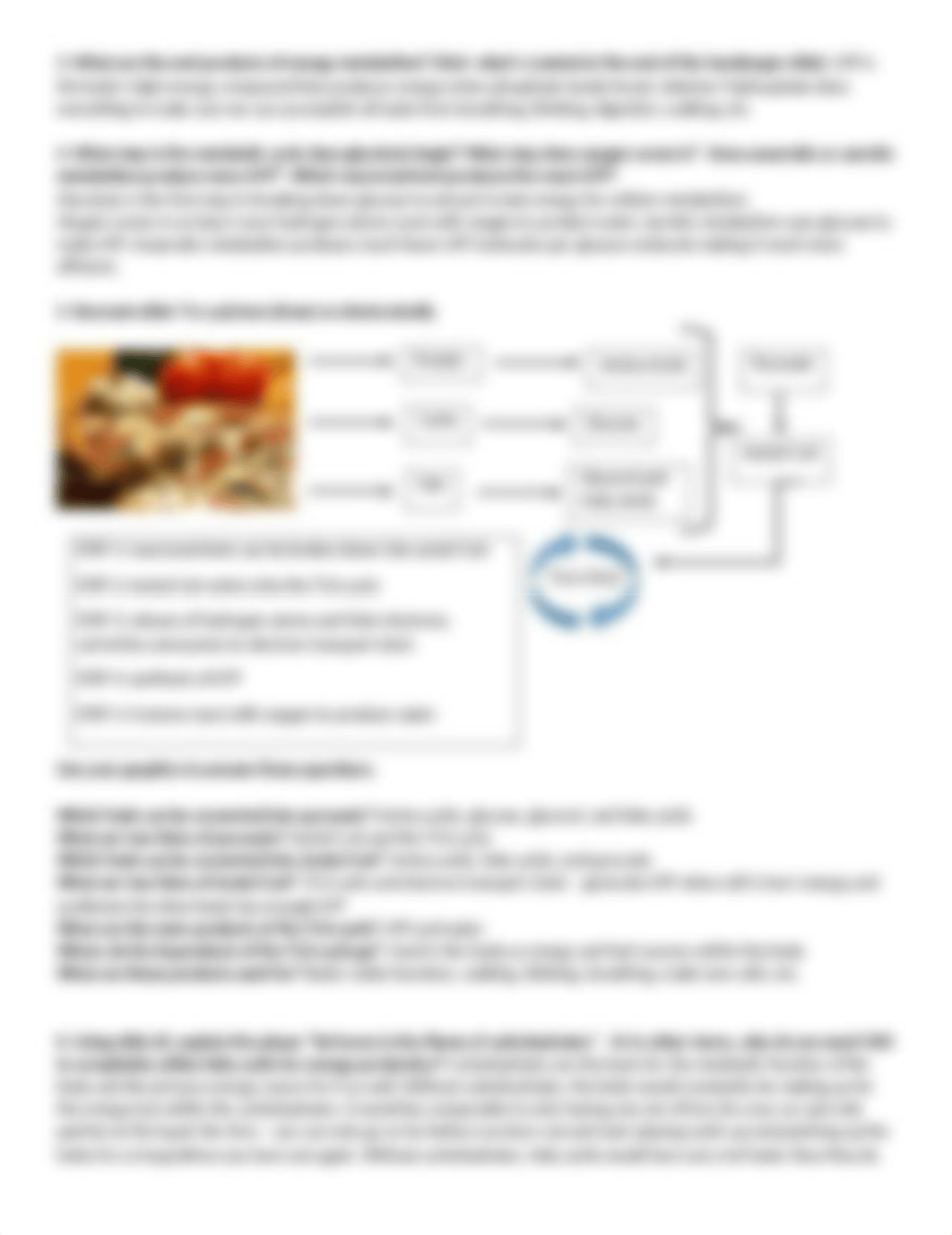 Metabolism Summary.docx_dd2k2qtjqgl_page2