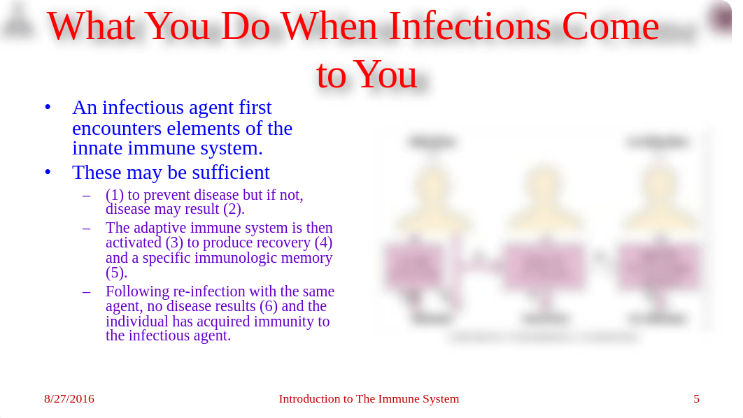 01 Introduction To The Immune System_dd2mslgemyo_page5