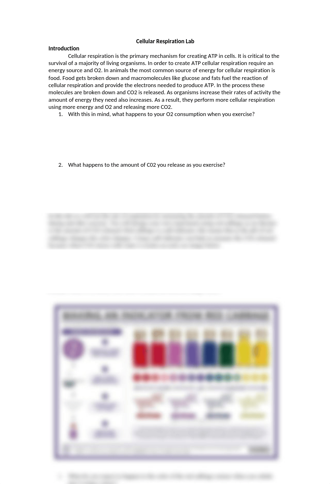 Cellular respiration lab handout-3 (1).docx_dd2srx0kyqt_page1