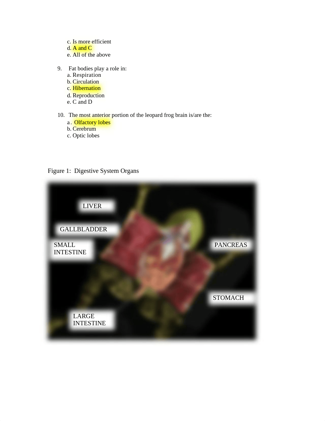 frogWorkSheet.doc_dd2xgwsjdhc_page2