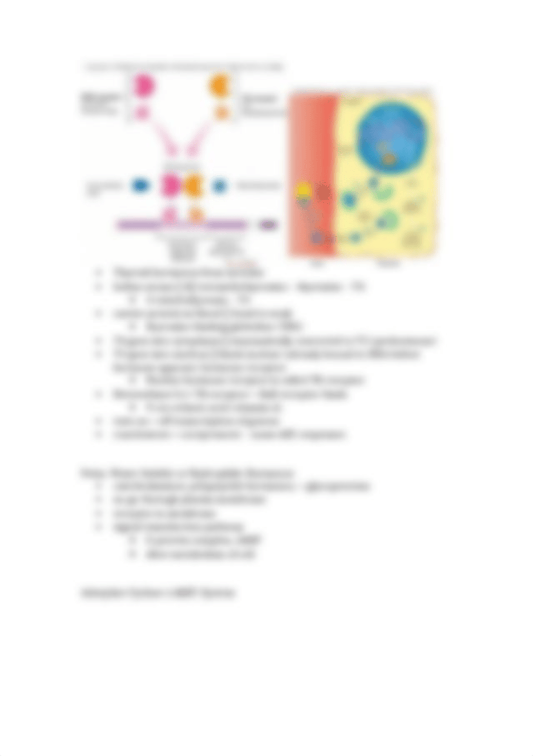 BIO 460 Exam III Notes_dd32iz4aiml_page4