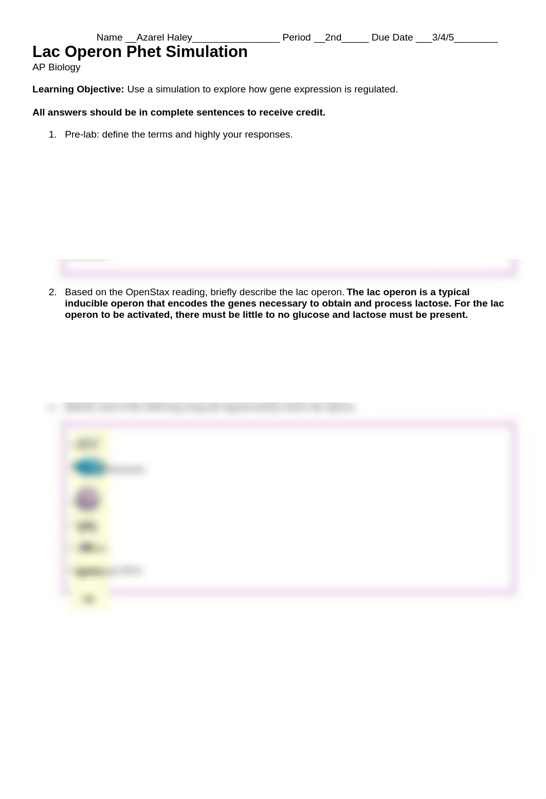Haley, Azarel - Lac Operon Phet Simulation.docx_dd3hxpr9gwb_page1