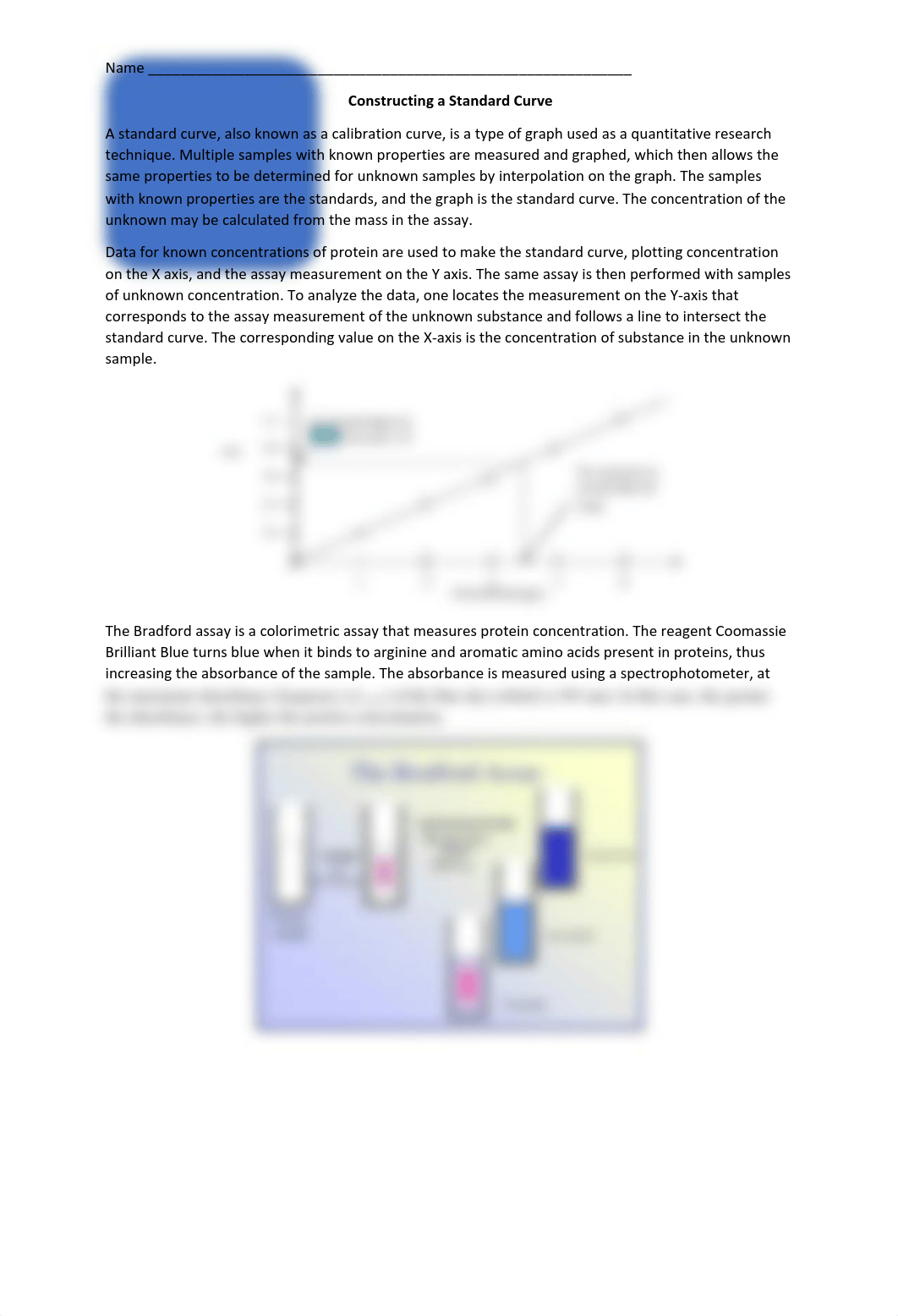 Constructing+a+Standard+Curve+Lab copy.pdf_dd3kkb01ydy_page1