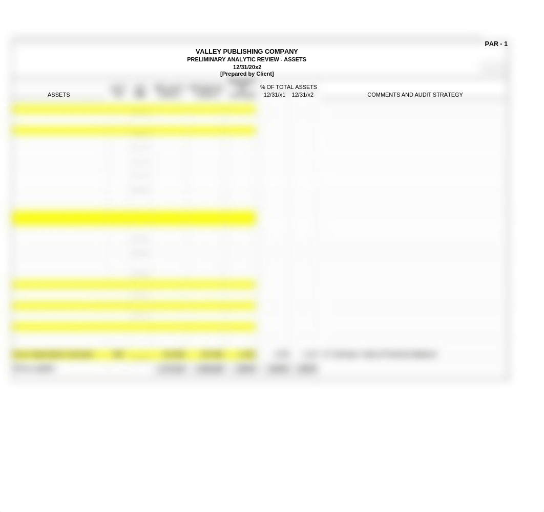 PAR_Prelim Analytic Review_13e.xlsx_dd3qhxs9g6l_page1