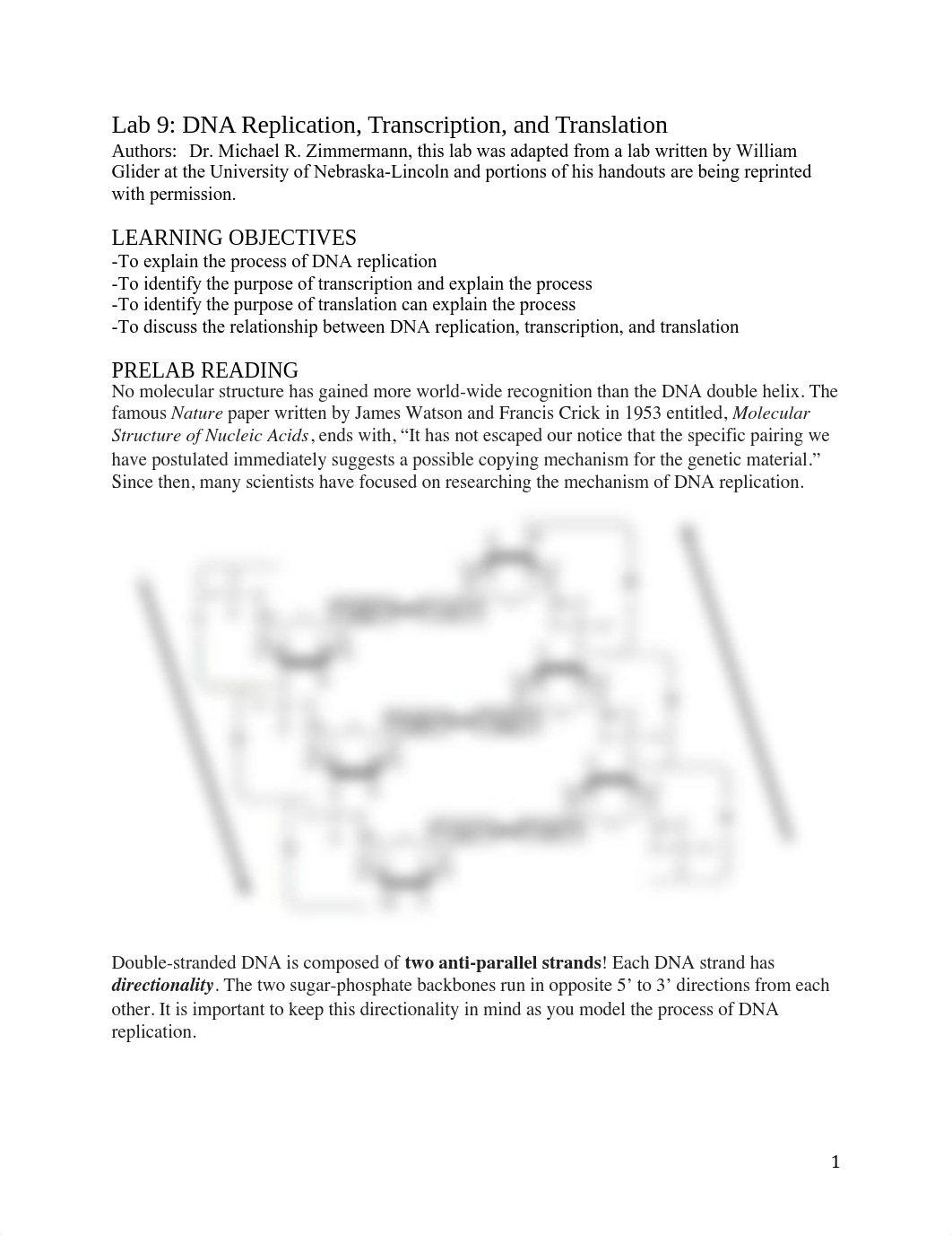 Lab 9 - DNA replication, transcription, and translation (Fall 2019) (1).pdf_dd3u969umbr_page1