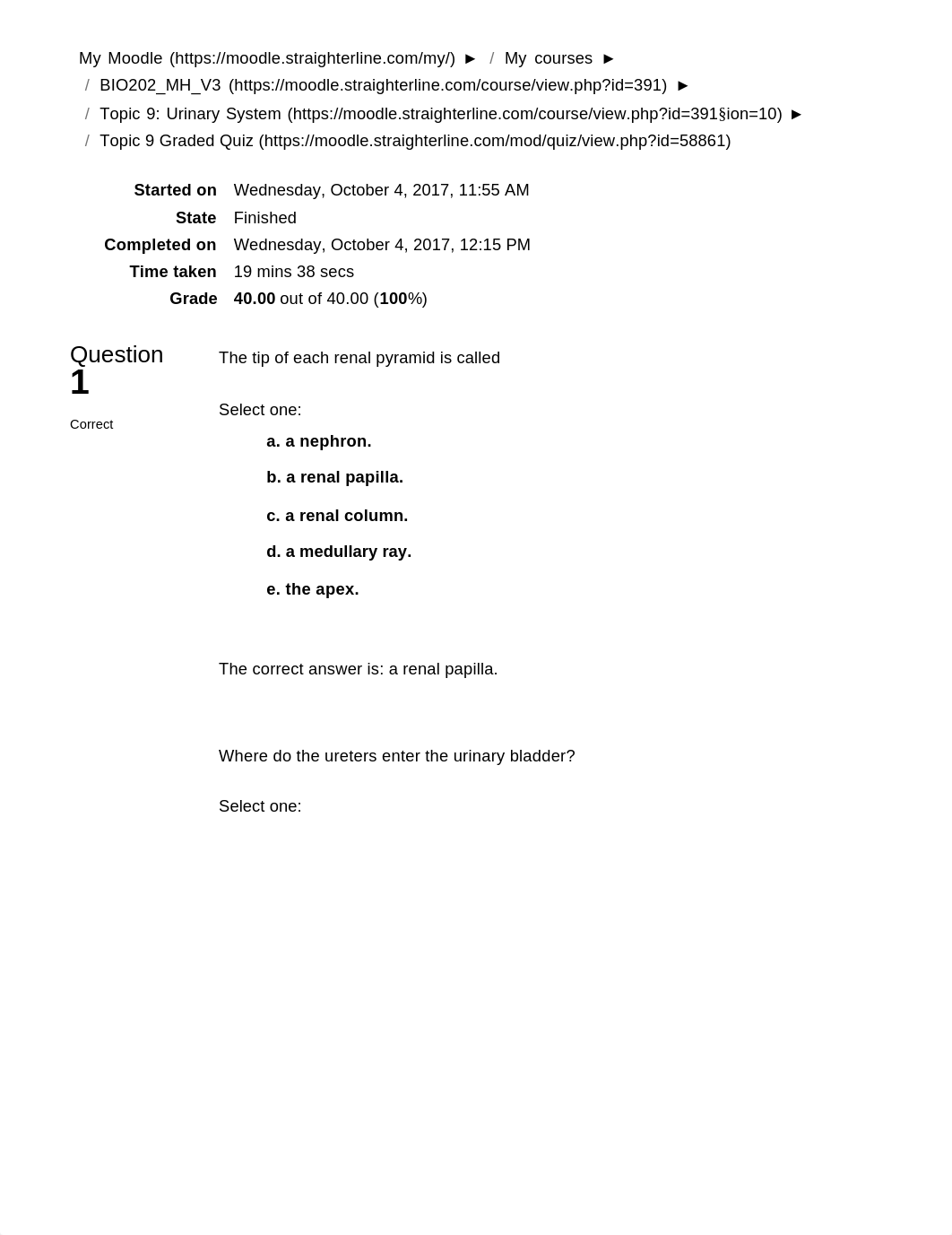 Urinary System Quiz.pdf_dd40ajs4hhv_page1