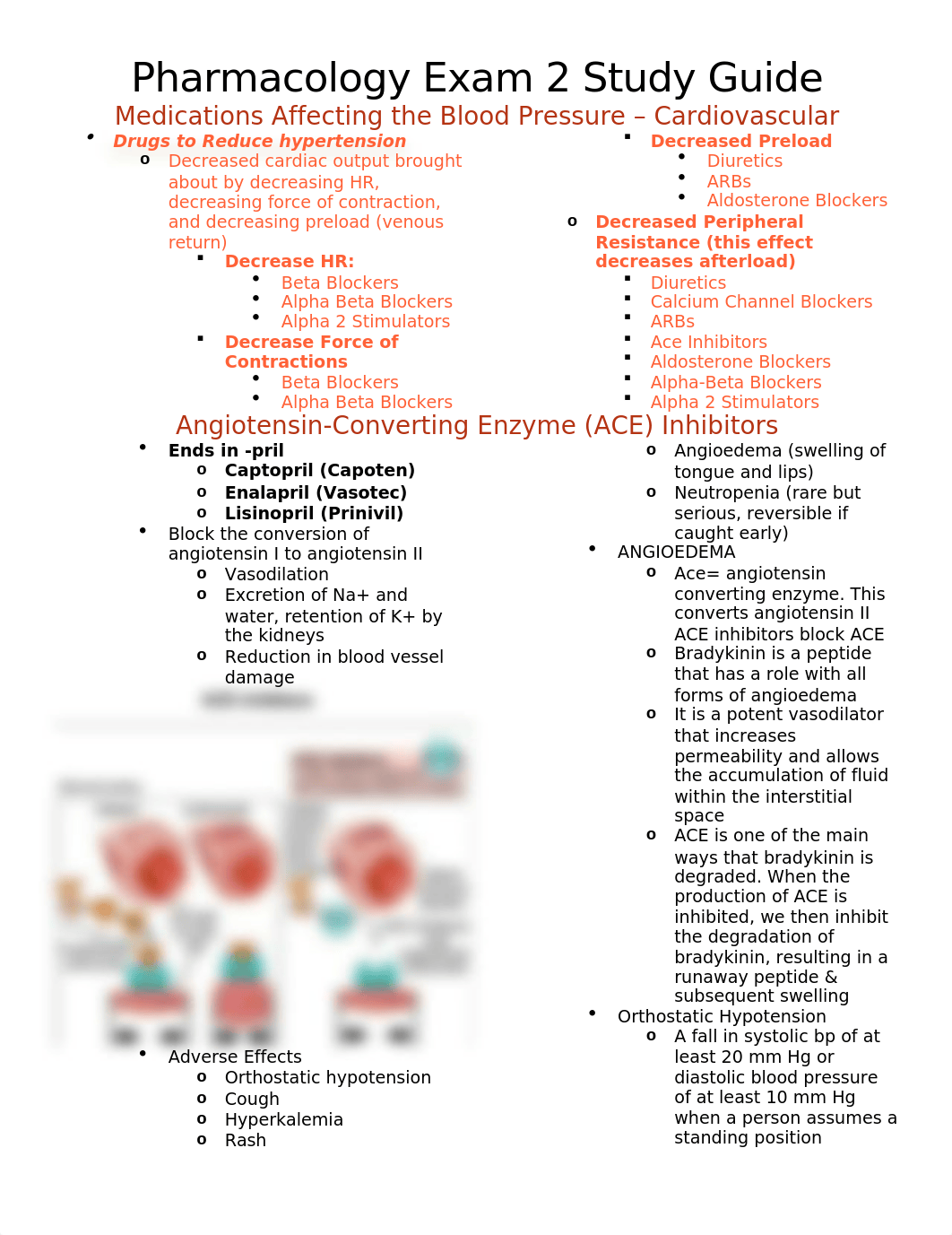 Exam 2 Study Guide.docx_dd430ns2qmr_page1