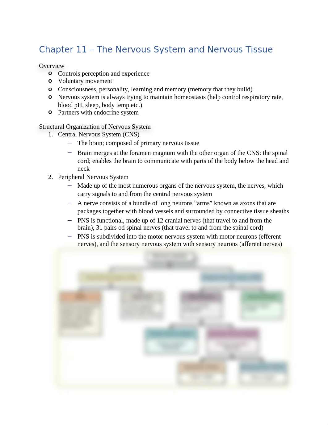 Anatomy_and_Physiology_End_of_Term_Exam_Notes.docx_dd443j4jbyg_page1