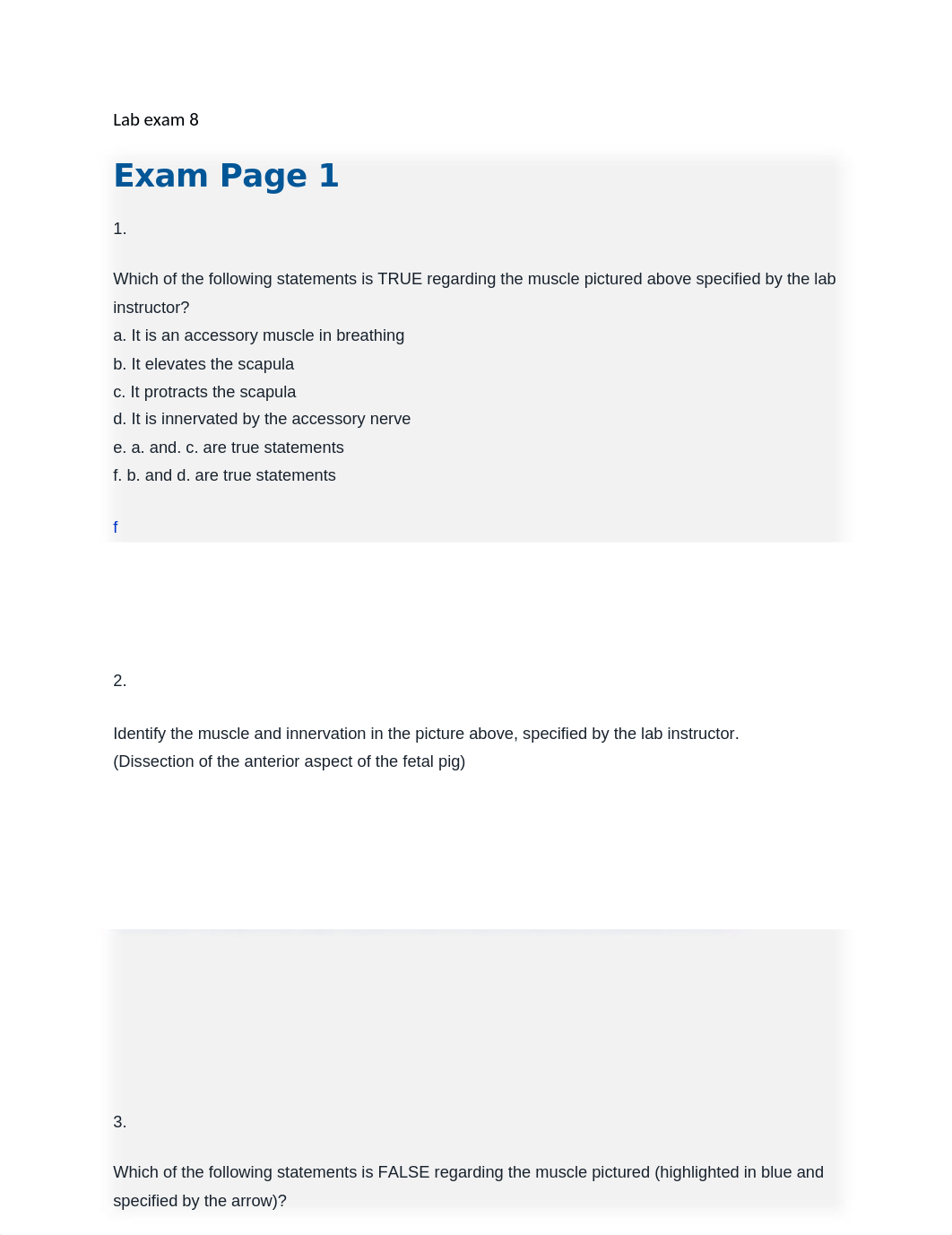 Lab exam 8.docx_dd4e3lr8skt_page1